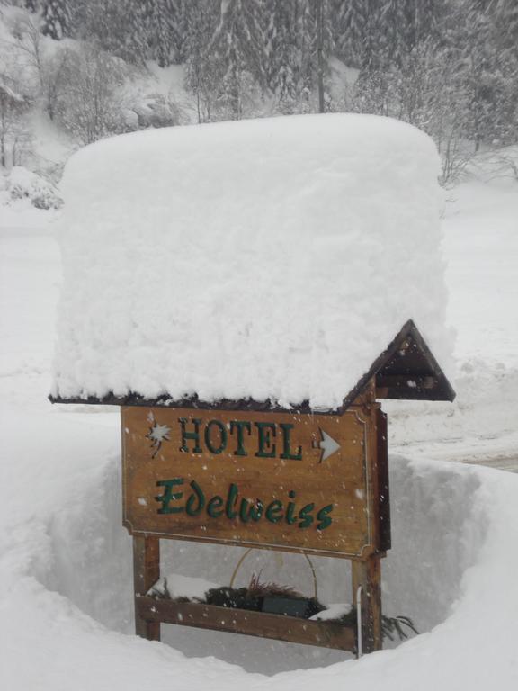 Hotel Edelweiss 3*